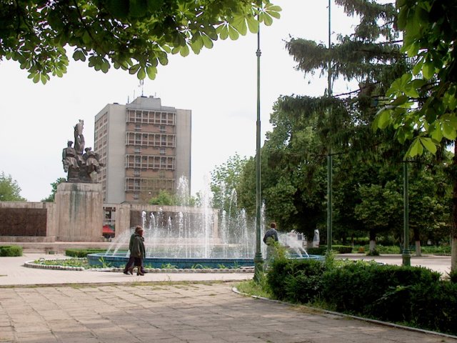 Photograph